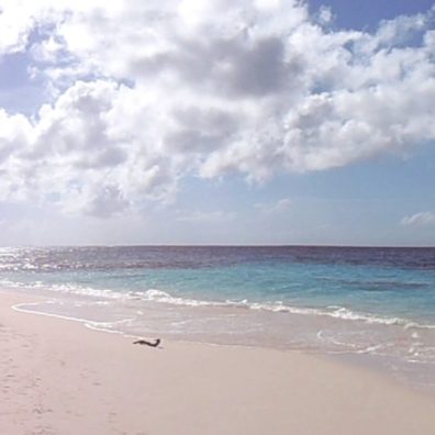 Anguilla-shoal-bay-beach-blog-bordelaise-by-mimi.com
