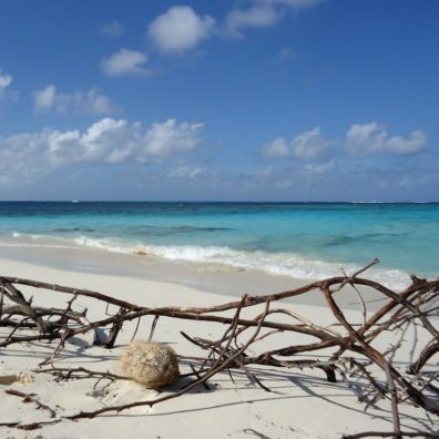 Anguilla shoal bay beach coconut Blog bordelaise-by-mimi.com