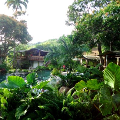 Loterie Farm Pic Paradis Tropical Forest blog bordelaise-by-mimi.com