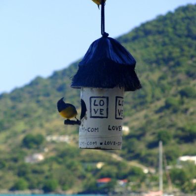 Love Hotel - Sint Maarten - Breakfast - bordelaise-by-mimi.com