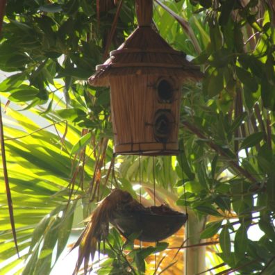 Pinel-Island-SXM-FWI-blog-bordelaise-by-mim