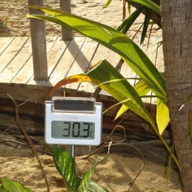 Pinel-SXM-Martin-FWI-blog-bordelaise-by-mimi