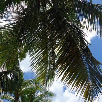 ???????????????????????????????