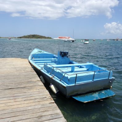 pinel-ferry-boat-Blog-bordelaise-by-mimi.com