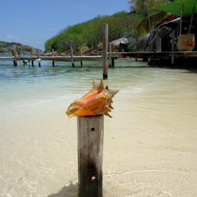 pinel-island-SXM-Shell-Lambi-blog-bordelaise-by-mimi.com