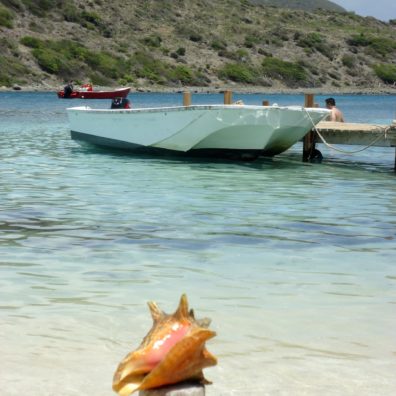pinel-island-Saint-Martin-Shell-blog-bordelaise-by-mimi.com