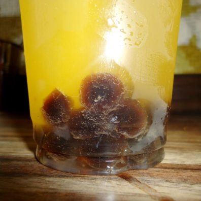 PHO - bubble tea Mangue perles Tapioca - rue du pas st georges - Bordeaux