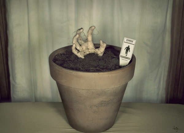 Mort Vivant Main Zombie Jardin - Halloween