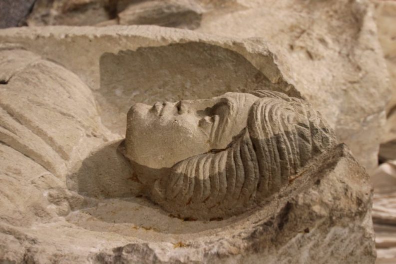 dimanche-musée-aquitaine-gratuit-sortie-Bordeaux-Blog-Bordelaise-By-Mimi (2)