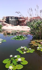 parc-aux-crocodiles-agadir-maroc
