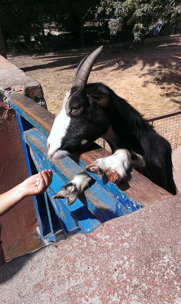 vallée-des-oiseaux-chevrette