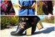 Bottines-Just-Fab-Ceinture-Pimkie-Bottines-Just-Fab-Blog-Mode-Bordeaux