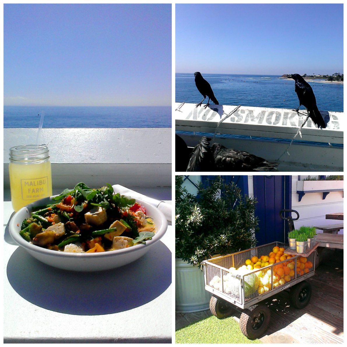 Malibu-Pier-Farm-Cafe-Fresh-Local-Food