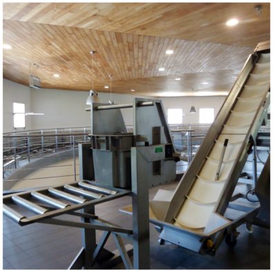 chateau-de-la-dauphine-fronsac-bordeaux-vinification