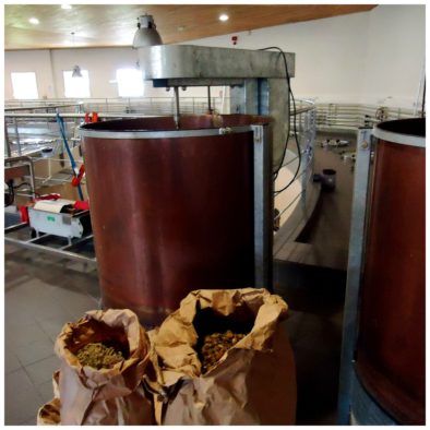 chateau-de-la-dauphine-fronsac-bordeaux-vin-certifie-bio