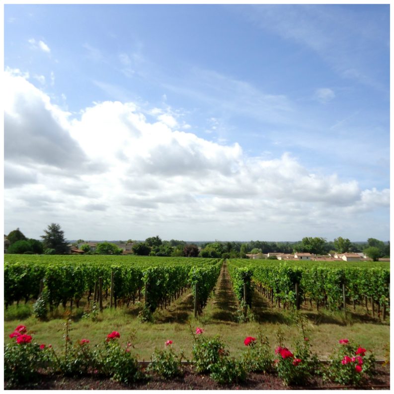 chateau-de-la-dauphine-fronsac-bordeaux-winetour
