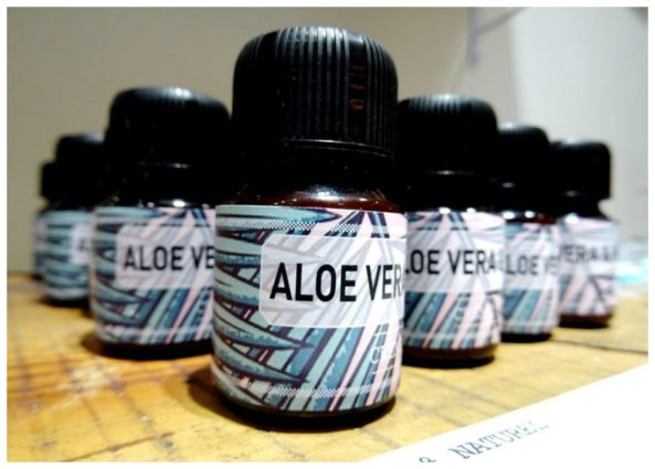aloe-vera-bordeaux-dr-jerry-mister-love