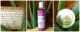 shampoing-biocoiff-baume-jasmin-brosse-bambou