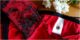 peau-ethique-lingerie-coton-biologique