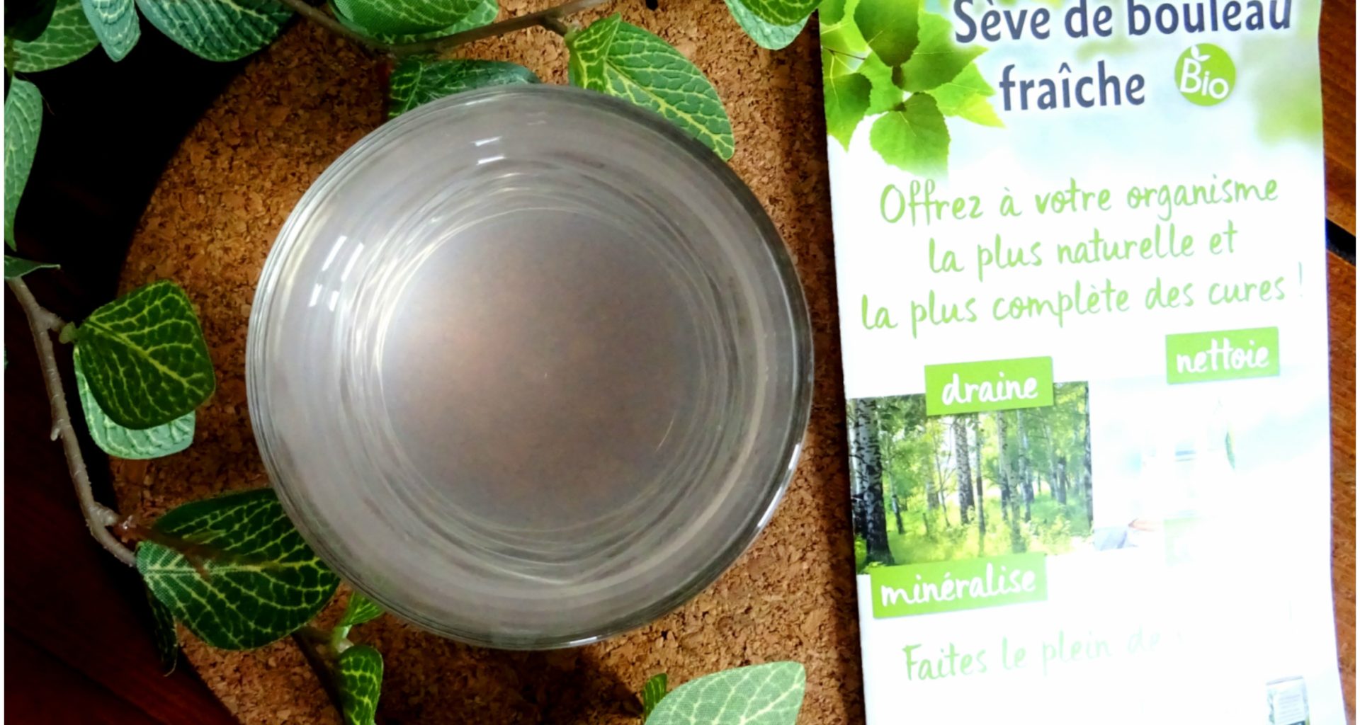 vegetal-water-france-sève-de-bouleau-bio