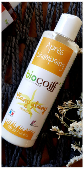 biocoiff-après-shampoing-blog-bordeaux-pinterest