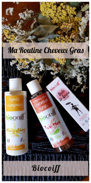 biocoiff-shampoings-blog-bordeaux-pinterest