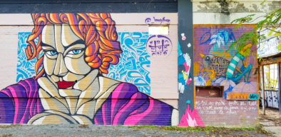 street-art-bordeaux-darwin